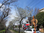 1502_204s200324.jpg