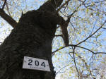 1503_204s200324.jpg