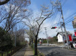 1504_203s200324.jpg