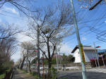 1506_202s200324.jpg