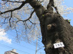 1511_199s200324.jpg