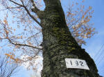 1517_192s200324.jpg