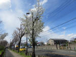 1520_189s200324.jpg
