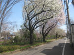 2866_953s200324.jpg