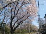 2869_952s200324.jpg