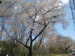 2875_947s200324..jpg