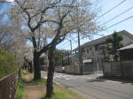 2879_943s200324..jpg