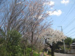 2883_ks17s200324.jpg