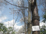 2884_ks17s200324.jpg