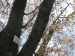 2888_933s200324.jpg