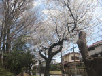 2895_922s200324.jpg