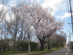 2899_915s200324.jpg