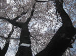 2900_915s200324.jpg