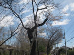 2901_914s200324.jpg