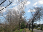 2903_ks12s200324.jpg