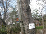 2904_ks12s200324.jpg