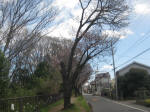 2905_910s200324.jpg