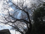 2909_899s200324.jpg
