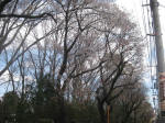 2911_898s200324.jpg