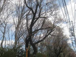 2913_897s200324.jpg