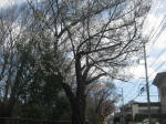 2915_894s200324.jpg