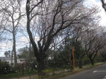 2919_890s200324.jpg