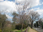 2929_ks8s200324.jpg