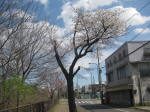 2935_867s200324.jpg