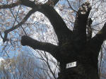 2936_867s200324.jpg