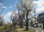 2942_859s200324.jpg