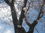 2947_856s200324.jpg