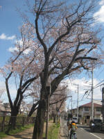 I2950_854s200326.jpg