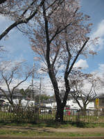 2952_853s200324.jpg
