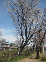 2954_849s200324.jpg