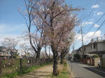 2956_847s200324.jpg