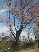 2958_844s200324.jpg