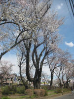 2963_841s200324.jpg
