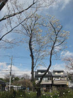 2965_840s200324.jpg