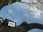 2966.jpg