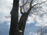 2968_837s200324.jpg