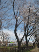 2969_832s200324.jpg