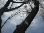 2970_832s200324.jpg