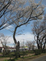 2971_830s200324.jpg