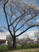 2973_826s200324.jpg