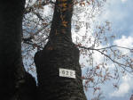 2976_822s200324.jpg
