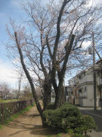 2977_820s200324.jpg
