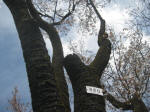 2978_820s200324.jpg