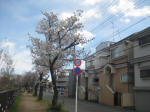 2979_815s200324.jpg