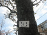 2981_815s200324.jpg