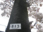 2983.jpg